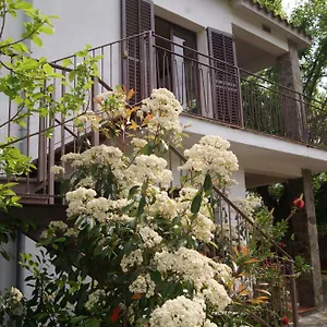https://can-brugada.catalonia-hotels.com